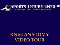 Knee Anatomy Video Tour