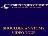 Shoulder Anatomy Video Tour