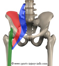 hip flexor double