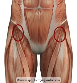 hip flexor delineation