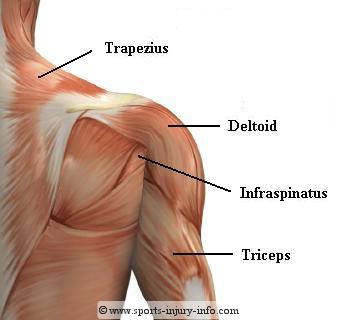 Tren injection in shoulder