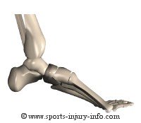 Broken Ankle Advice - Sports Injury Info