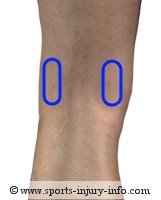 Knee Pain - Hamstrings