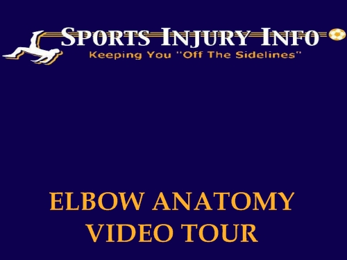 Elbow Anatomy Video Tour
