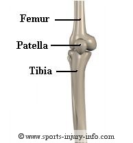 Knee Bones - Sports Injury Info