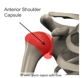 Anterior Glenohumeral Ligament - Sports Injury Info