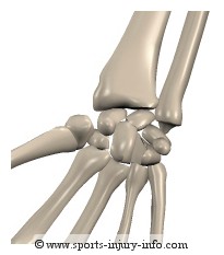 Wrist Bones - Sports Injury Info