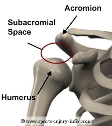 Subacromial Space